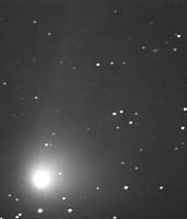 Комета  C/2001 Q4 (NEAT) . Фотография получена 10 Марта 2004г. (35cm telescope + CCD in Las Campanas (Chile))